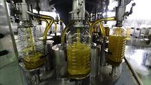 El precio del aceite, más alto que hace un año pero sigue sin cubrir costes