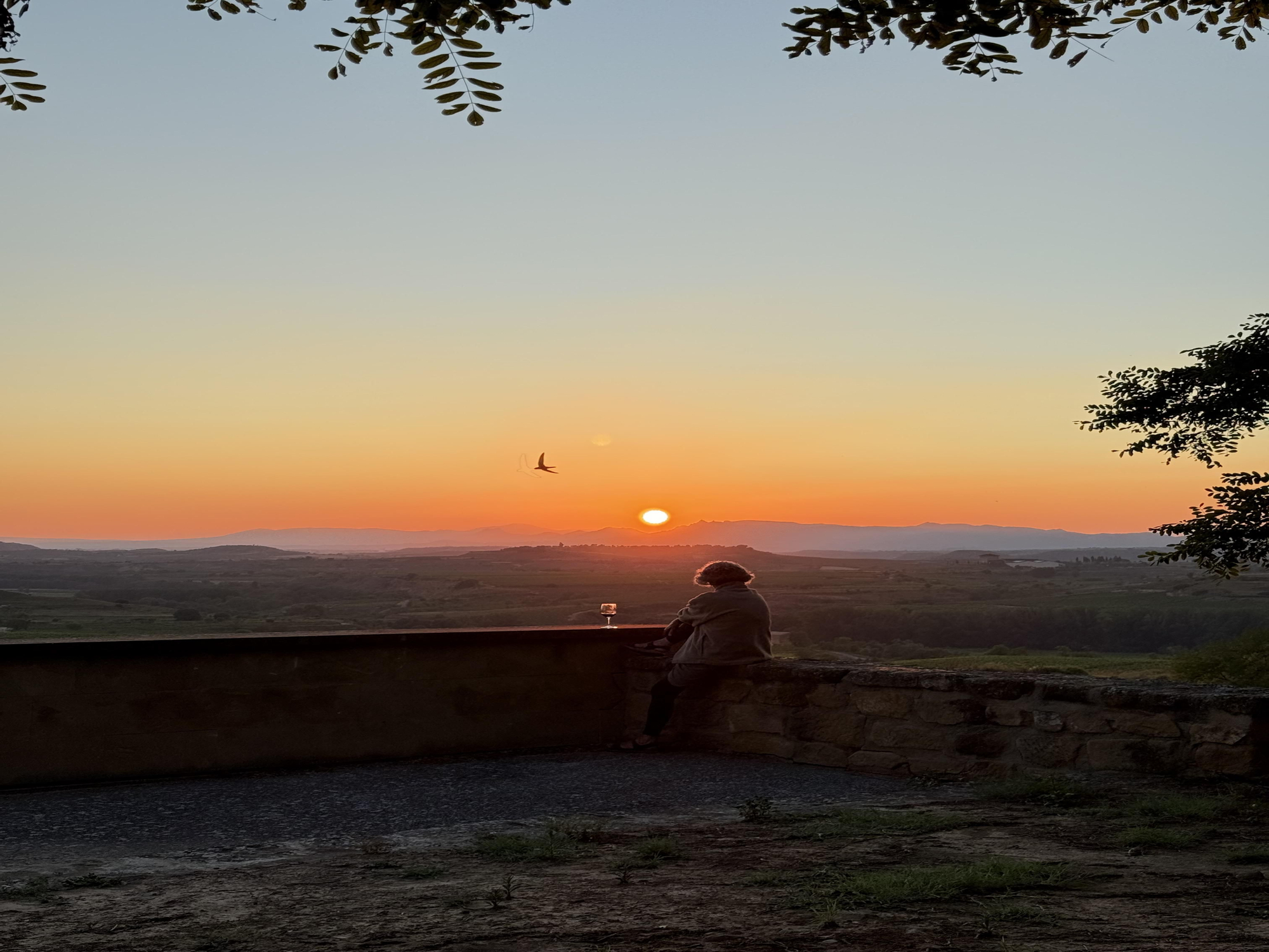 Las fotografías ganadoras del concurso 'Disfruta La Rioja'