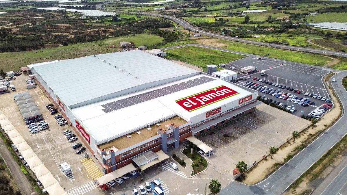Una planta del grupo El Jamón.