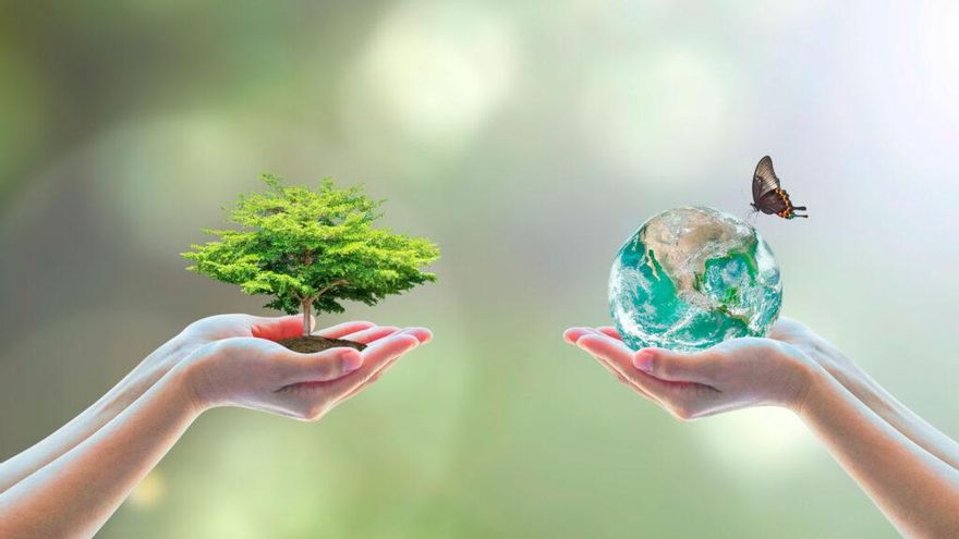 Día Mundial del Medio Ambiente: ¿por qué se celebra el 5 de junio?