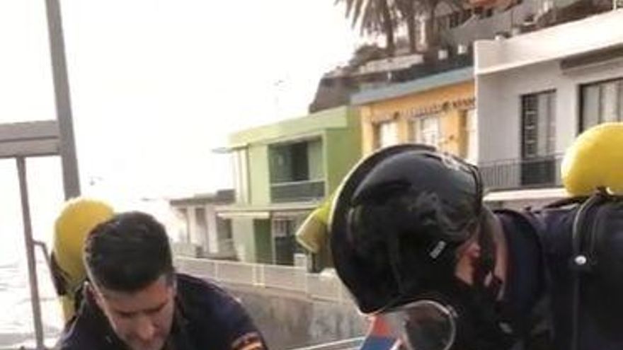 Agentes de la Policía Nacional logran revirir en La Palma a un gato asfixiado por los gases del volcán