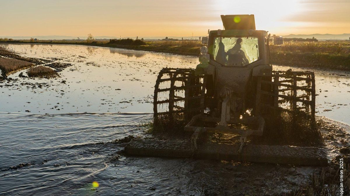 El Ministerio aprueba flexibilizaciones para productores vitivinícolas y hortofrutícolas afectados por la Dana