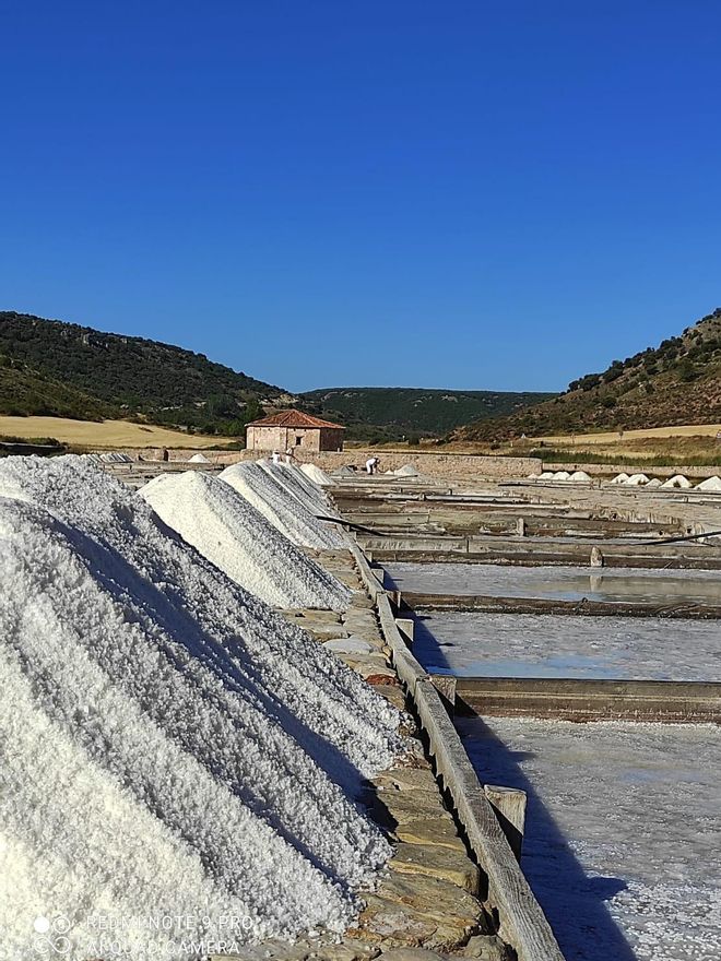 Salinas de Guadalajara. FOTO: Blanca García Henche