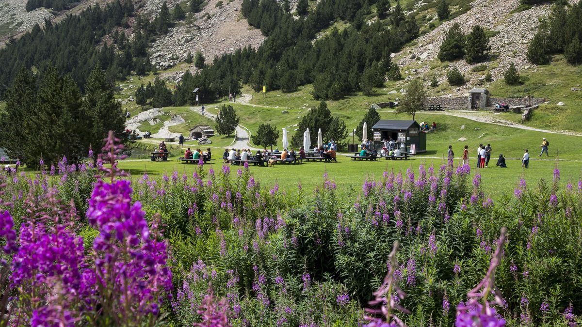Entorn natural de la Vall de Núria