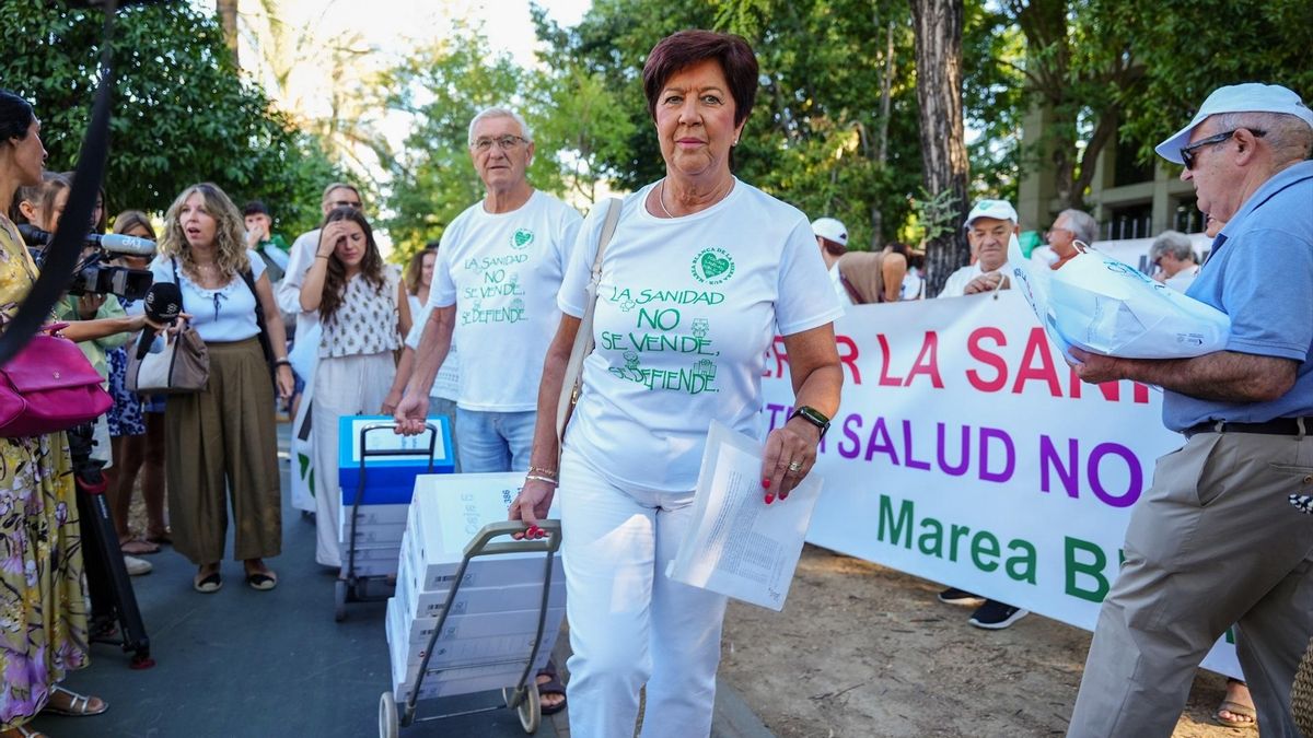 Representantes de la la Coordinadora Andaluza de Mareas Blancas, con las firmas para hacer la entrega el pasado 2 de septiembre.