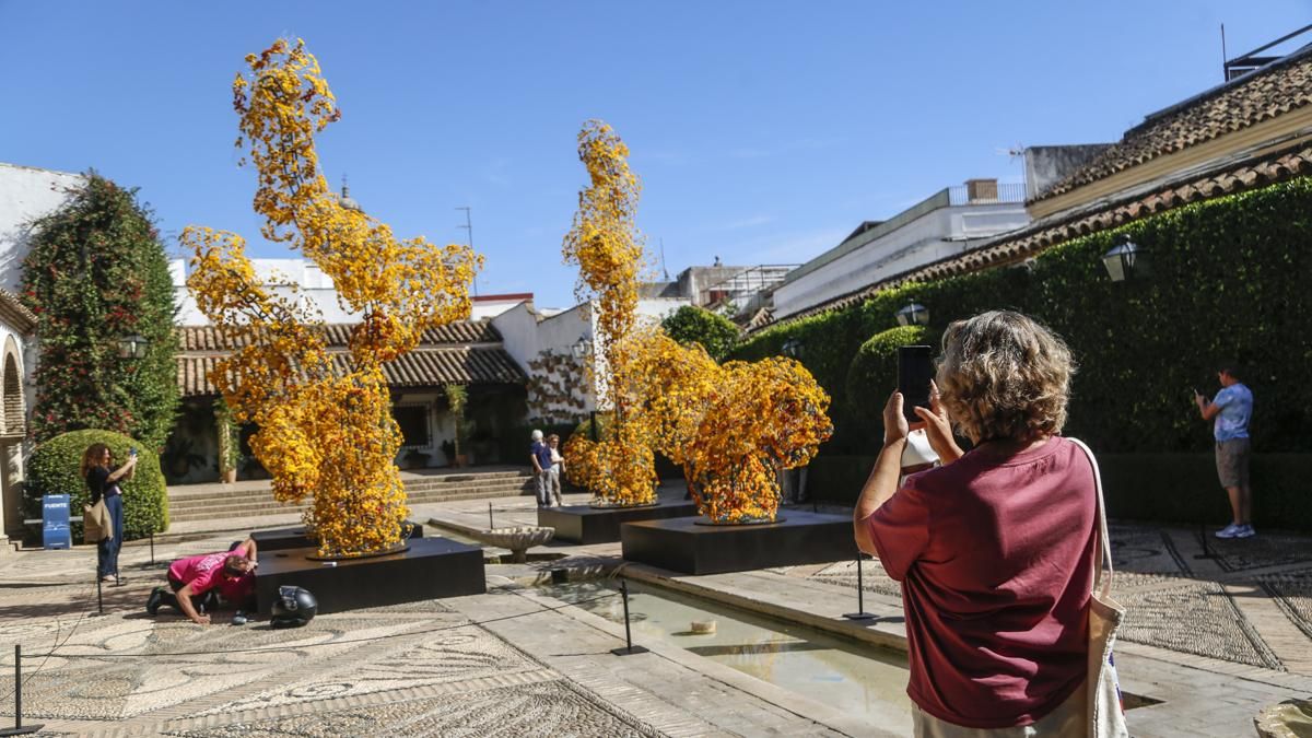 FLORA 2026 - Hamish Powell (Palacio de Viana)