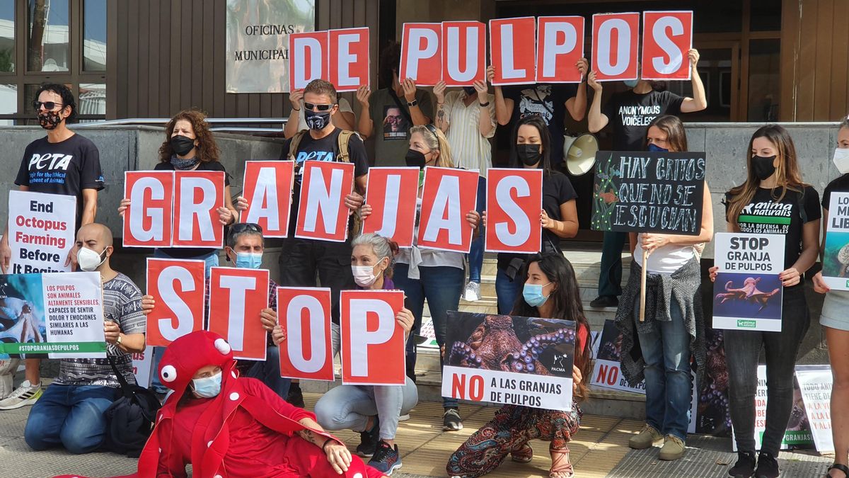 Foto de archivo de una protesta de PACMA contra las granjas de Pulpos. 