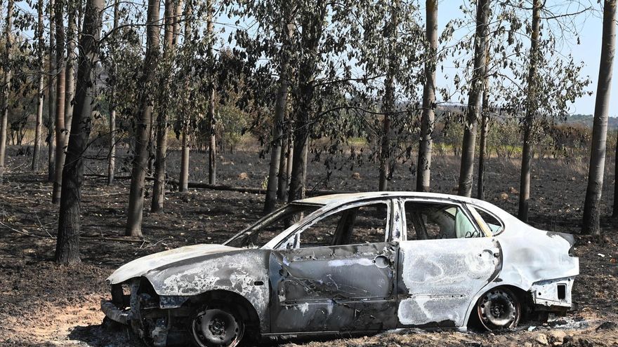 La Junta de Castilla y León activa el plan para retirar la madera de los bosques quemados