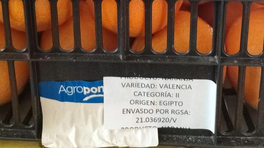 Naranjas de Sudáfrica y peras de Egipto: la campaña de consumo de fruta en colegios aragoneses que enfada a agricultores