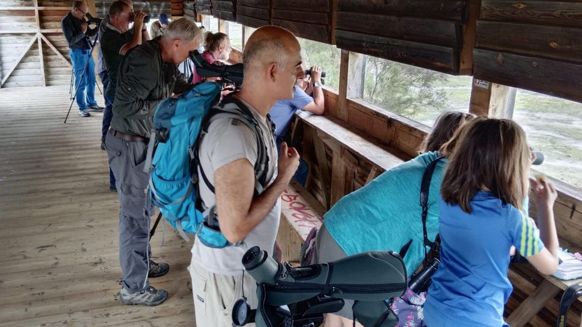 El Festival de la Migración de las Aves vuelve este fin de semana a Cantabria