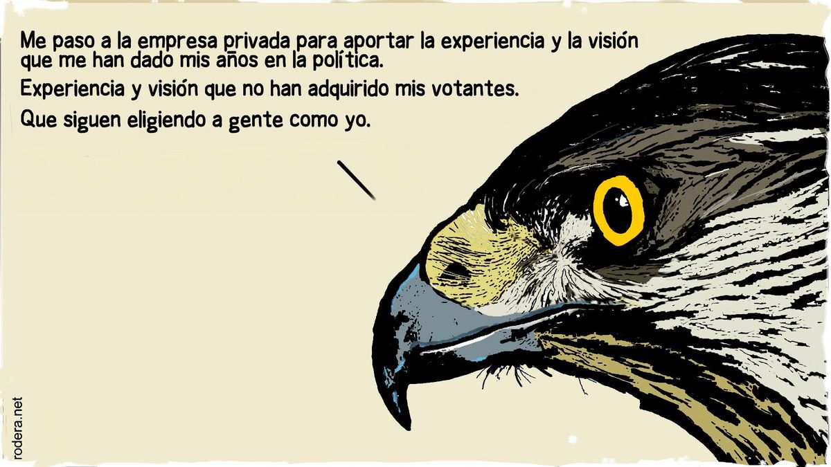 Experiencias cercanas al deporte (II)