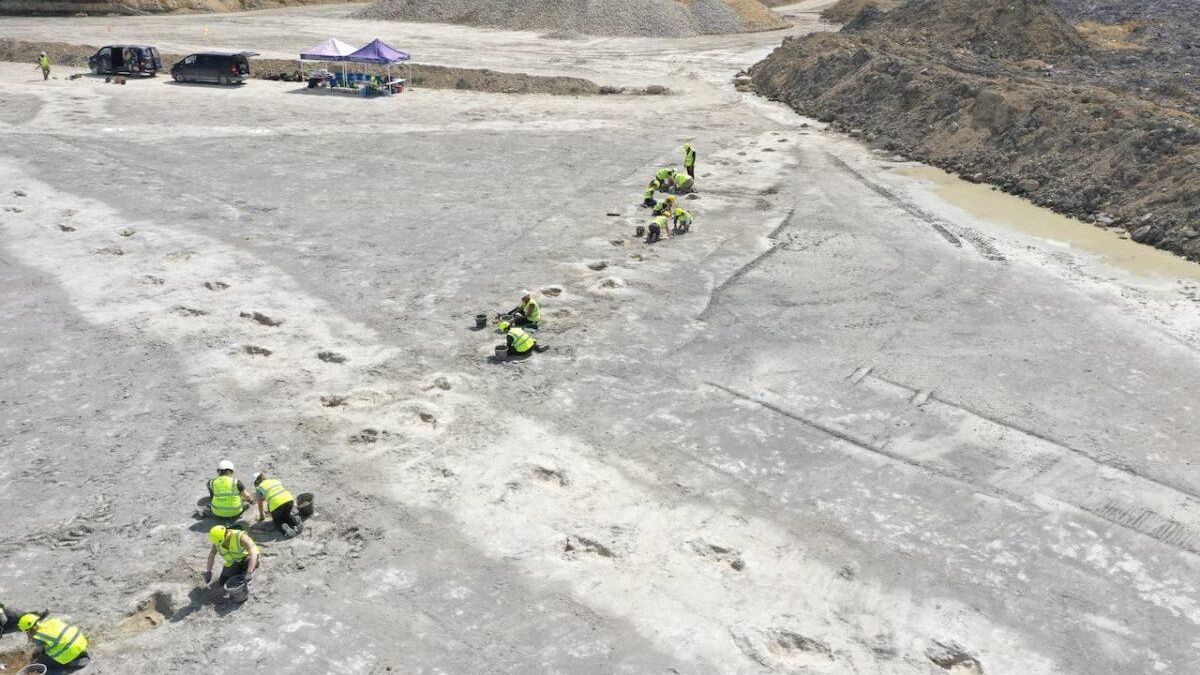 Se trata de cinco extensos senderos de pisadas continuas a lo largo de la explanada de la cantera