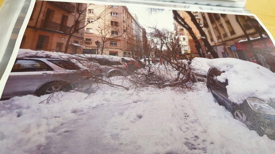 Almeida incluye decenas de fotos de árboles caídos en el informe para pedir al Gobierno 1.400 millones por Filomena