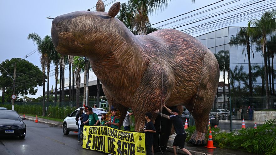 La acción climática puede beneficiar la salud mental, defiende el Consejo de Psicología