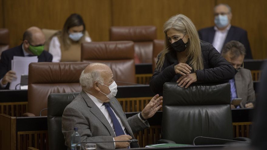 La comunidad educativa echa un pulso al Parlamento andaluz para bajar el número de alumnos por aula