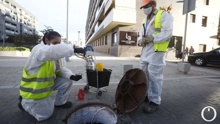 Pintura con hormonas y cebo tóxico contra cucarachas y ratas en la ciudad