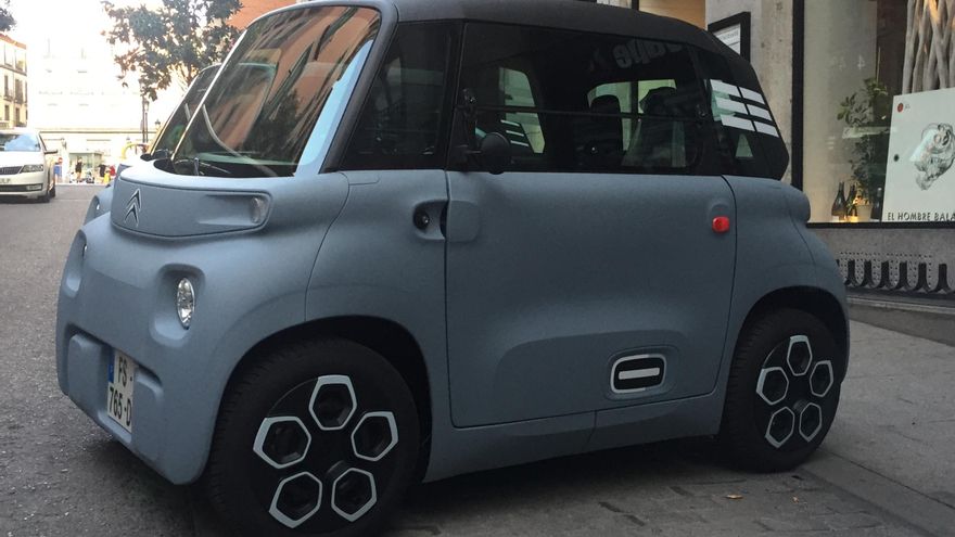 Mide 2,41 metros de longitud.