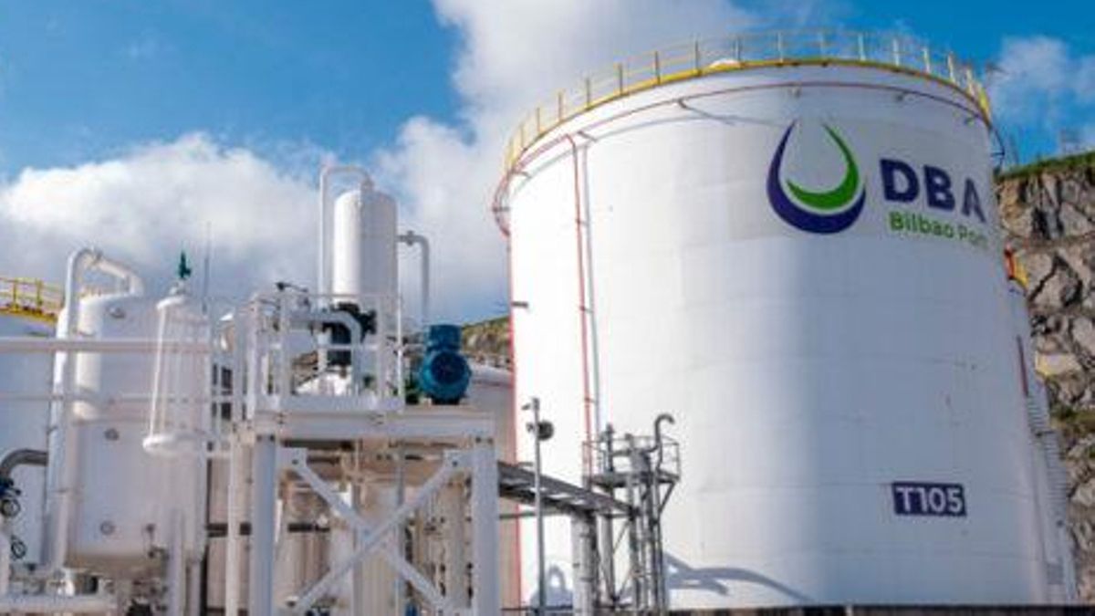 Euskadi autoriza la ampliación en el puerto de Bilbao de la empresa del fugado Alejandro Hamlyn, encausado por fraude