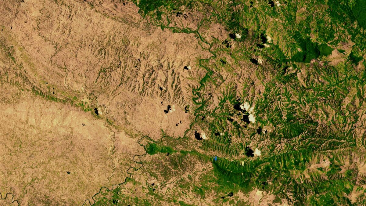 Cada año se pierden unos 15.000 millones de árboles, una destrucción equivalente a más de 200 campos de fútbol por minuto