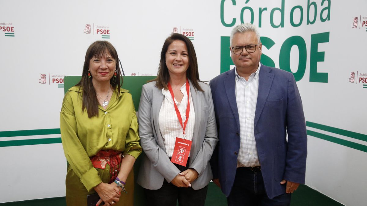 Los tres parlamentarios del PSOE