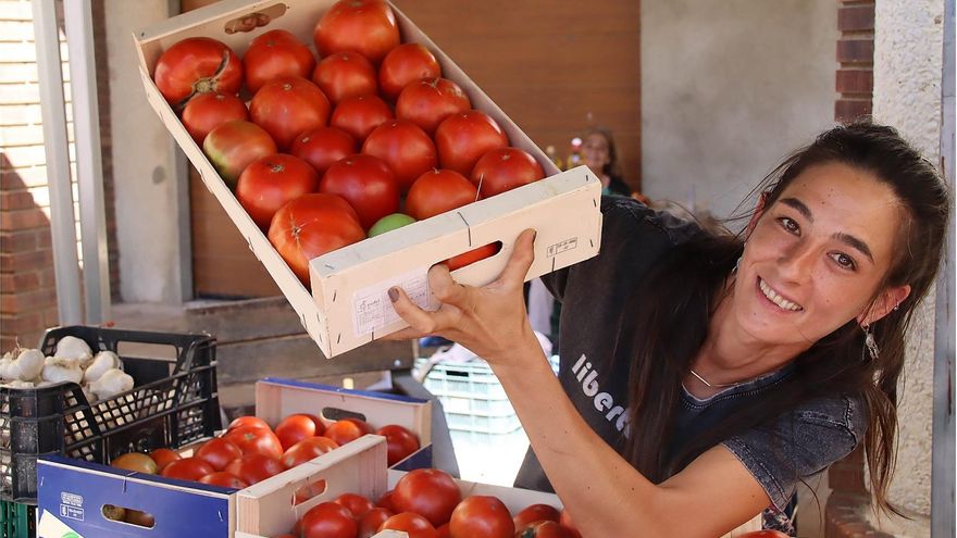 Ejemplares de Tomate de Mansilla de las Mulas hoy en la feria anual. / Peio García / ICAL