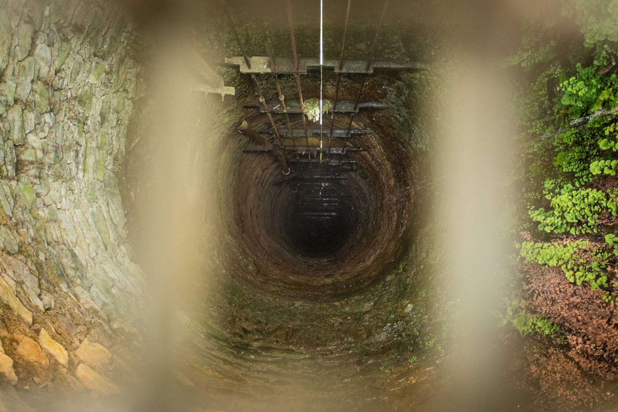 Recorrido institucional por el Barranco del Guiniguada en el Día Mundial del Agua.