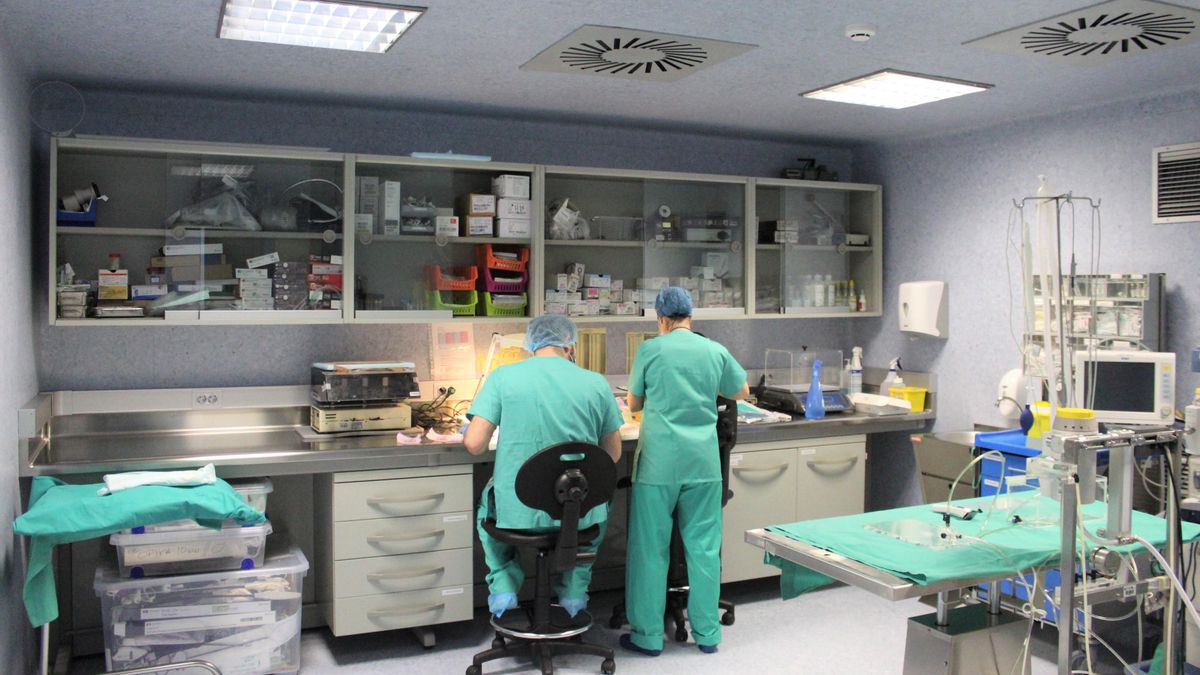 Unidad de Investigación de la GAI de Albacete
