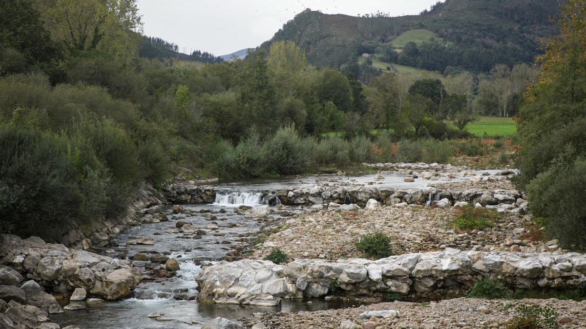 Cauce del río Saja.
