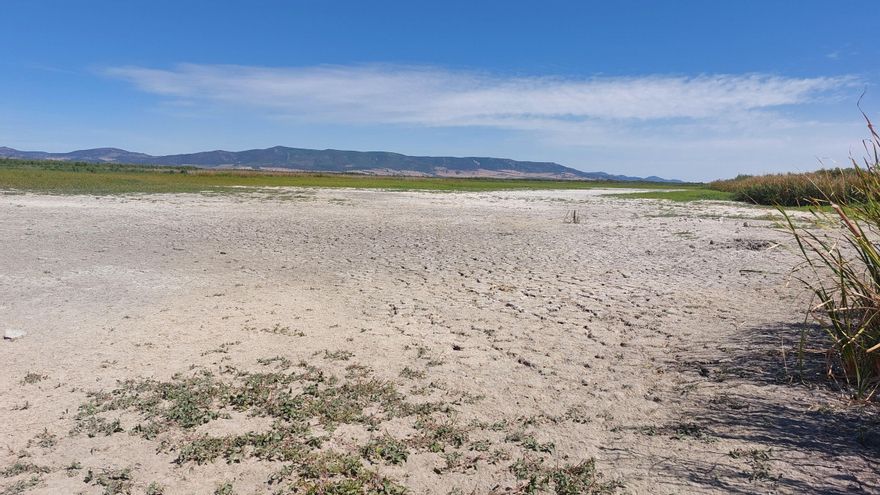 El pacto de Doñana como “ejemplo” para unas Tablas de Daimiel “técnicamente secas” que preocupan a la UNESCO