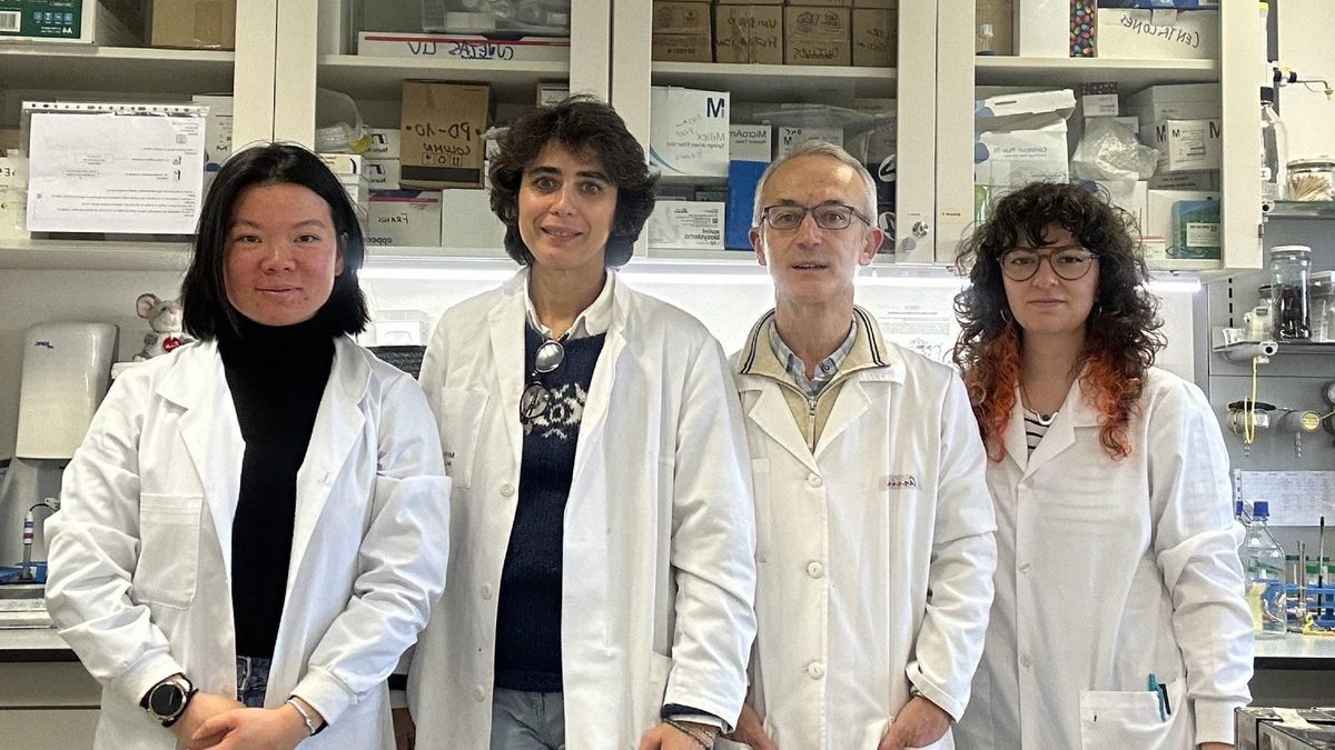 Un hallazgo de la Universidad de León ayuda a explicar por qué la gripe deriva en neumonías graves