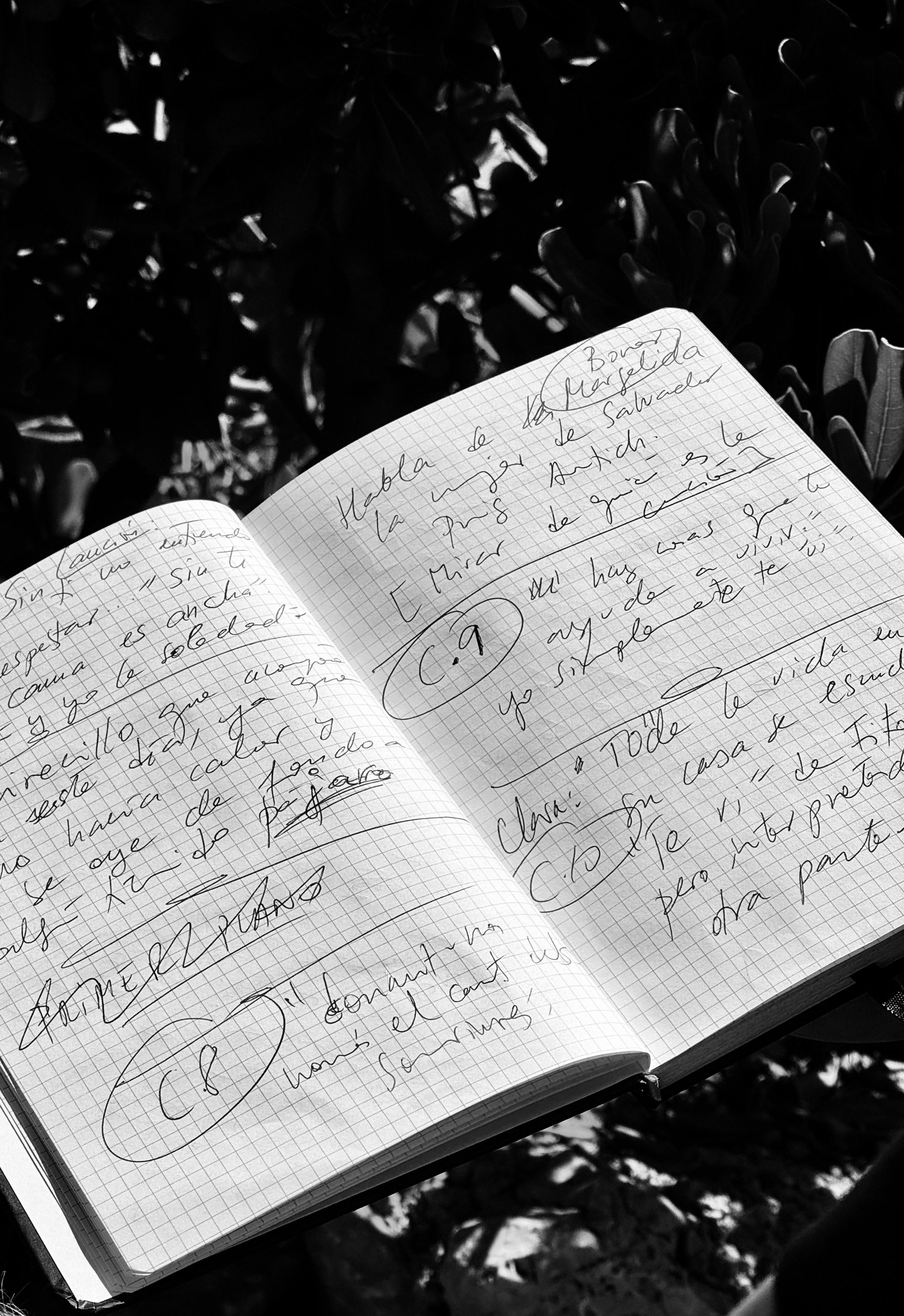 Notes preses durant el concert.