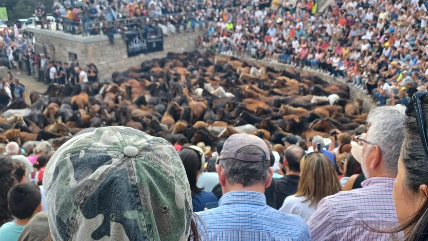 El Tribunal Superior de Galicia paraliza cautelarmente un parque eólico en montes de la Rapa das Bestas