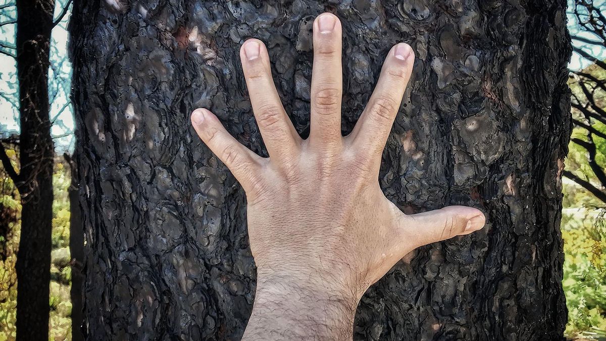 Fotogalería | En verde y negro