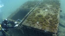 Un buzo recoge muestras en el arrecife artificial. / Bajoelagua Factory