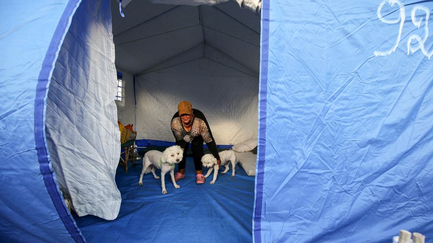 Una mujer libanesa desplazada con sus perros dentro de su tienda de campaña en un campamento habilitado para las personas que huyeron de sus hogares y pueblos en los suburbios del sur de Beirut y el sur de Líbano, el 21 de mayo de 2026.
