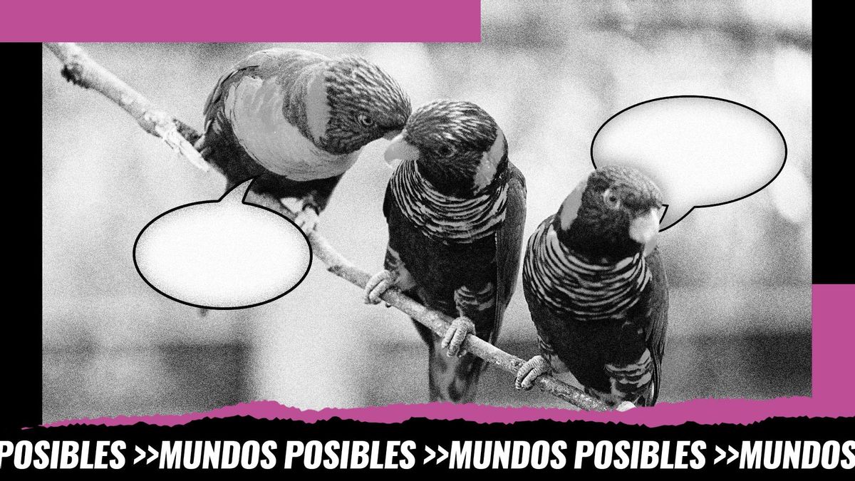 Montaje a partir de la portada de “Cómo se comunican los animales” de Gonzalo Rodríguez