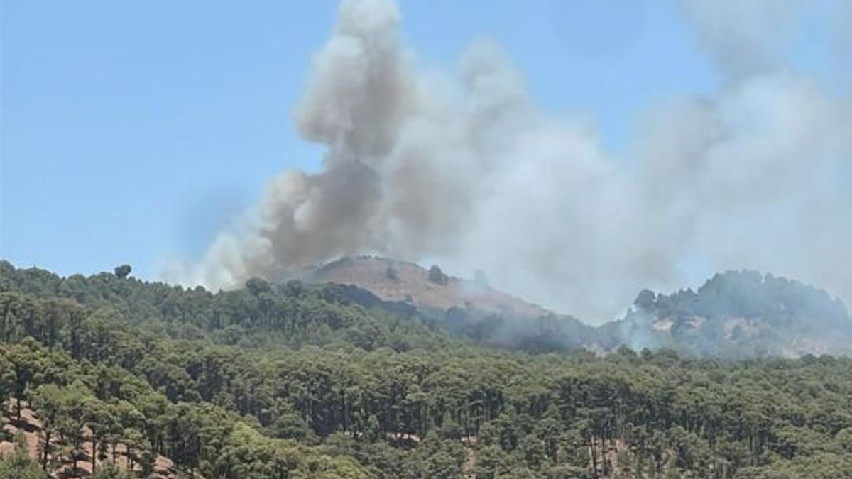 Conato de incendio en El Pinar.