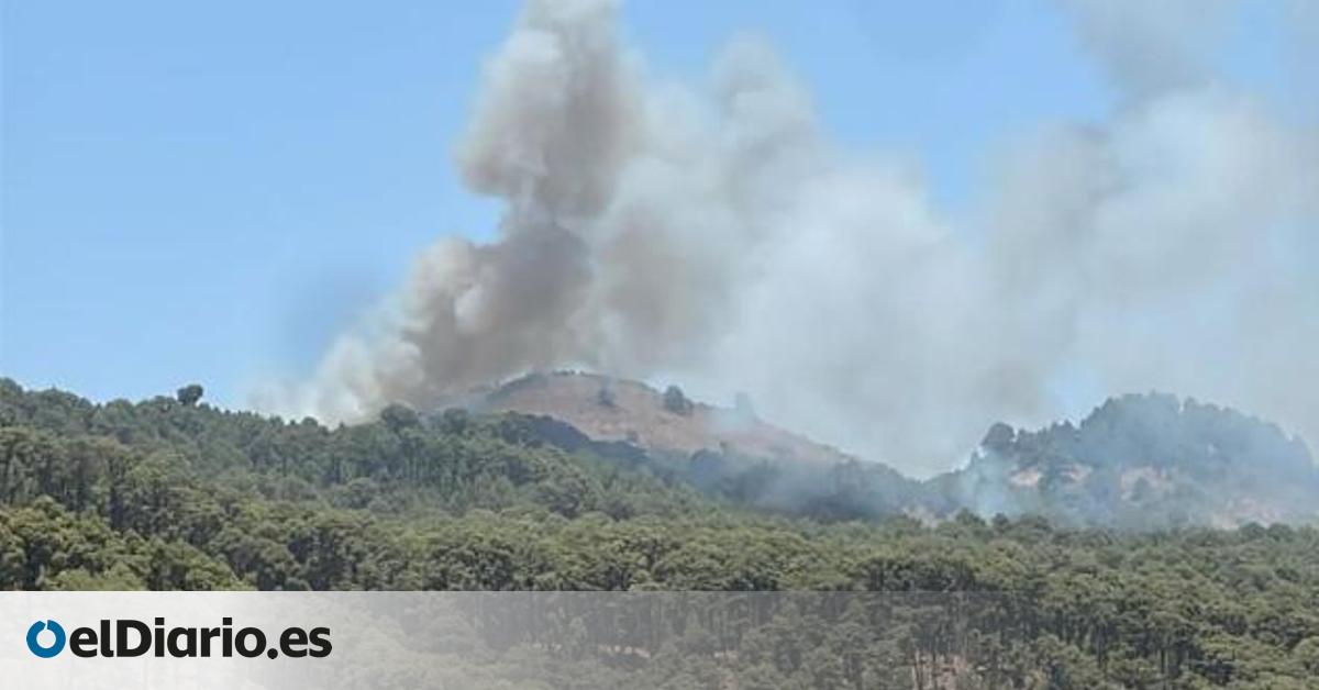 Dos conatos de incendio en El Hierro: el Ayuntamiento del Pinar pide no salir del pueblo y varios medios aéreos actúan