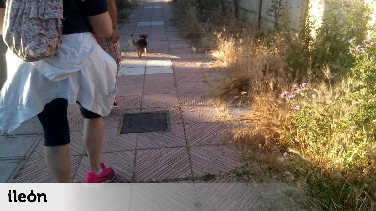 Los vecinos de Puente Castro denuncian el "abandono" del barrio