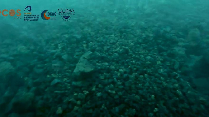 La ULPGC graba las primeras imágenes de la fajana formada al llegar la lava al mar