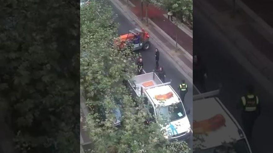 El jabalí abatido acaba en la Cocina Económica