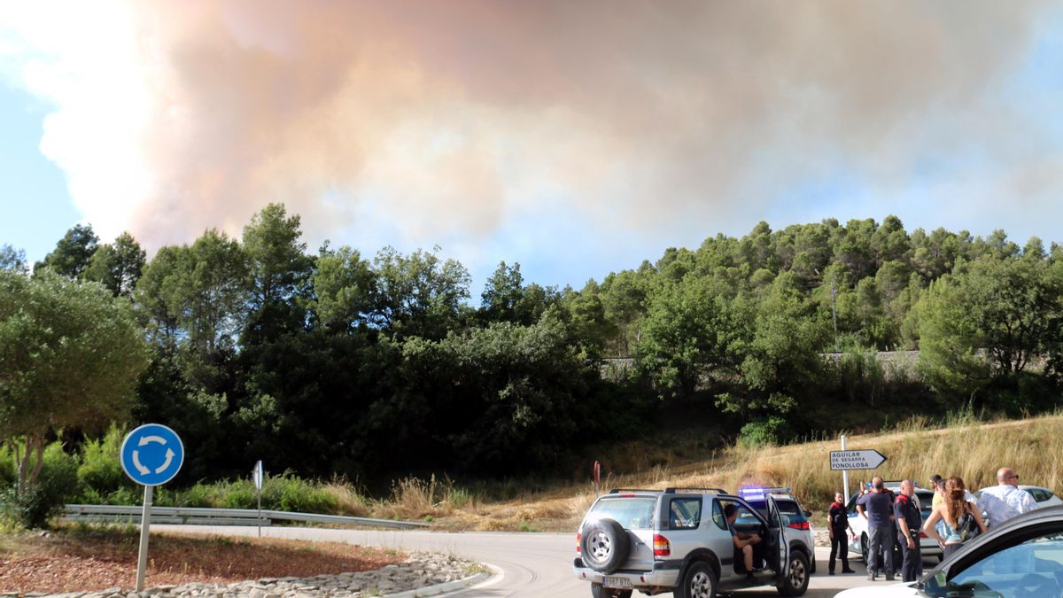 El incendio declarado en Sant Pere Sallavinera, visto desde la zona de Aguilar de Segarra
