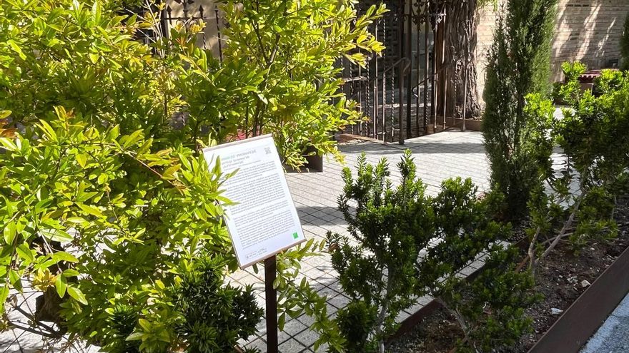 Los museos también pueden ser un refugio climático: el caso del Sefardí en Toledo