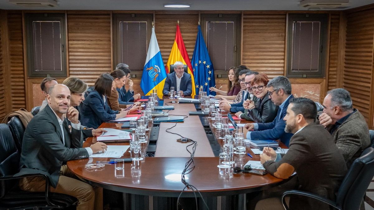 El Gobierno de Canarias aprueba la estrategia que llevará al Parlamento para la defensa común del estatus RUP