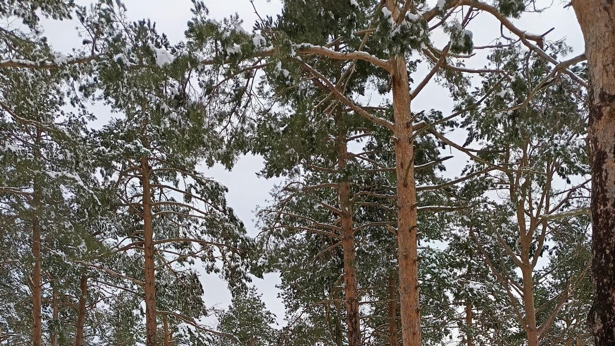 Cambio brusco del tiempo en La Rioja: las temperaturas se desploman hasta los 3 grados y se esperan nevadas