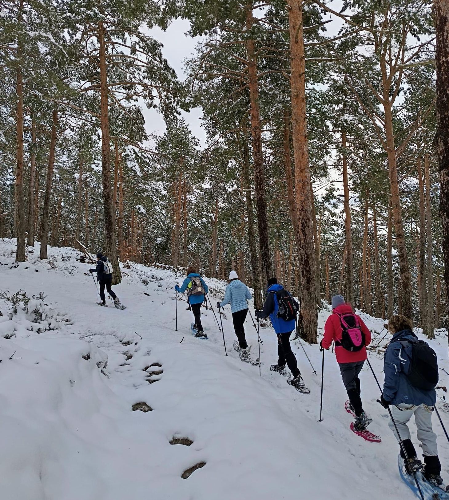 Ruta con raquetas de nieve