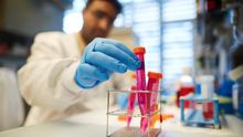 Este estudio de investigadores del Sloan Kettering Institute concluye que las células iniciadoras de metástasis emplean un truco para propagarse: cooptan las capacidades naturales de curación de heridas del cuerpo.