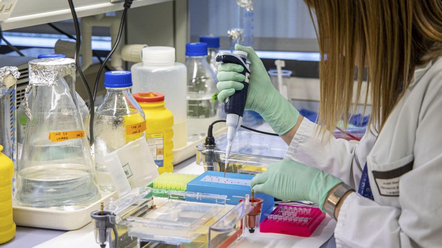 Una nueva estrategia potencia la respuesta a la inmunoterapia de los tumores hepáticos