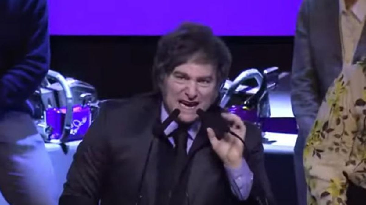 Javier Milei durante su discurso en Junín.
