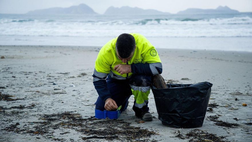 Galicia se niega a aclararle al Gobierno qué medios necesita para luchar contra la marea de pellets